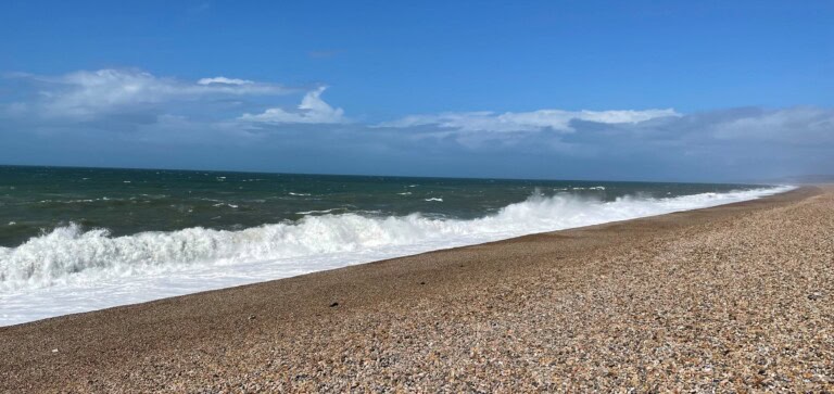 Strandline Detectives Sarah Hodgson 768x363