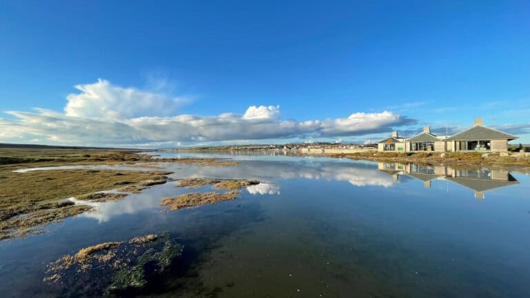 Wild Chesil Centre pano Sarah Hodgson 1 768x432