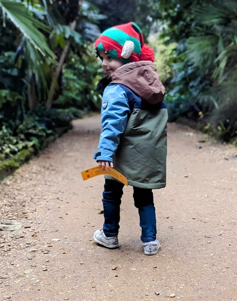 received 6295614773873559 768x975