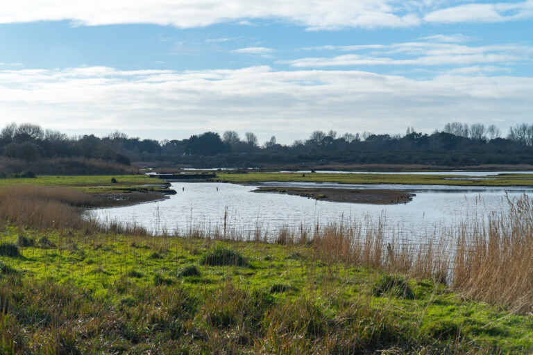 RSPB Lodmoor Nature Reserve RSPB Lodmoor Nature Reserve