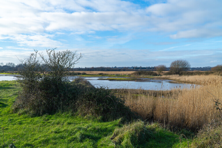 RSPB Lodmoor Nature Reserve RSPB Lodmoor Nature Reserve