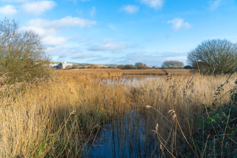 RSPB Lodmoor Nature Reserve RSPB Lodmoor Nature Reserve