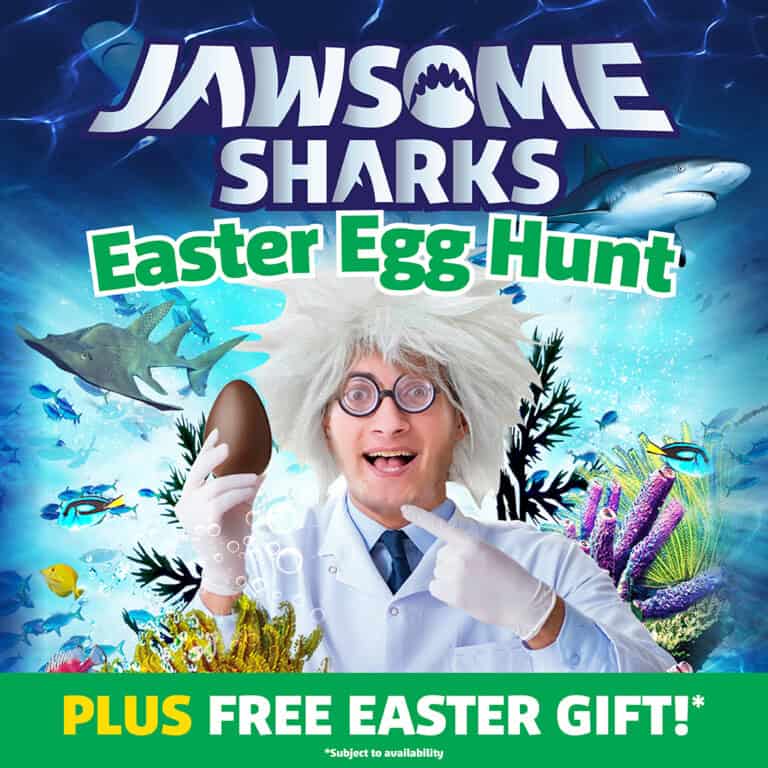 Jawsome Easter Egg Hunt Digital 1080x1080No Date 768x768