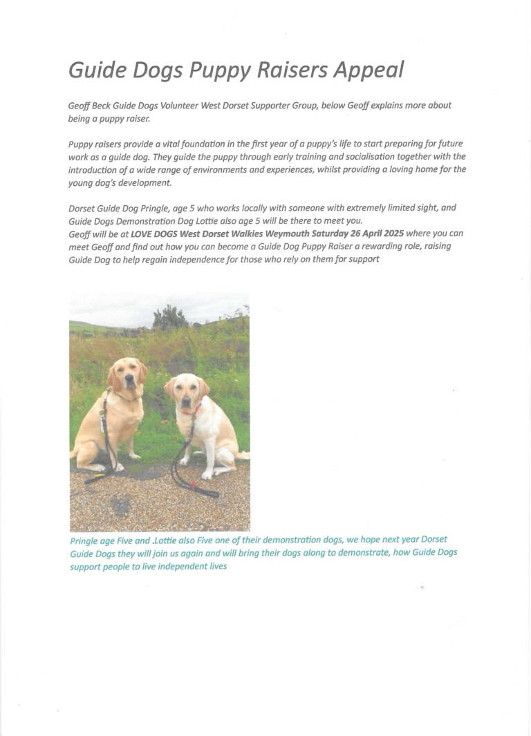 Lottie and Pringle Walkie Weymouth  768x1065