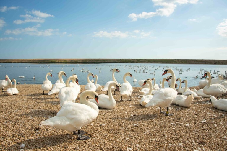 Mothering weekend 1 768x512