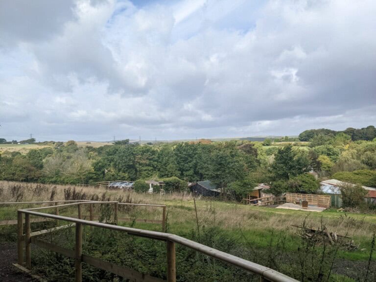 PXL 20220927 110857645 scaled 1 768x576