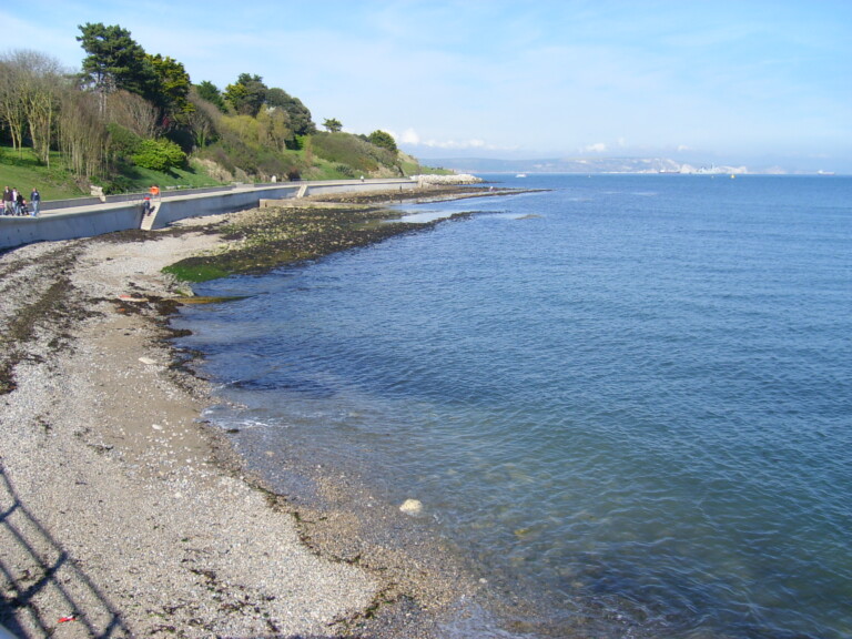 Newtons Cove 768x576