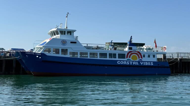 IMG 4937 1000xcenter c default 768x430