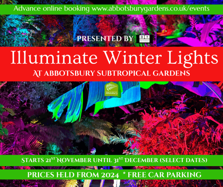 Illuminate Winter Lights 2025 768x644