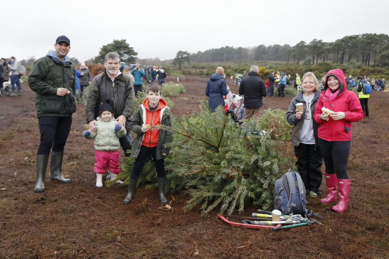 People gathering trees at 2018 Pull a Pine event Terry Bagley.5 1 768x512