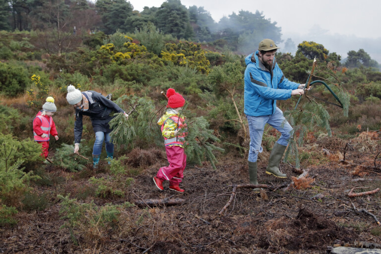 People gathering trees at 2018 Pull a Pine event Terry Bagley.6 1 768x512