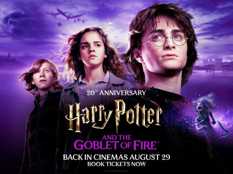 Goblet of Fire 768x576