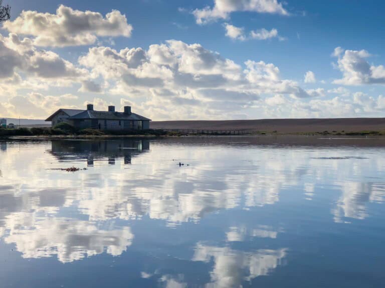 The Chesil Centre from the Fleet Lagoon by Marc Kativu Smith 768x576