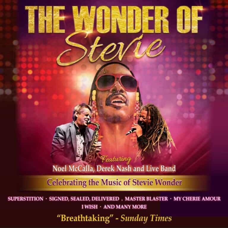 Wonder of Stevie 768x768