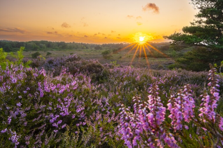 Sam Turley 1 768x512