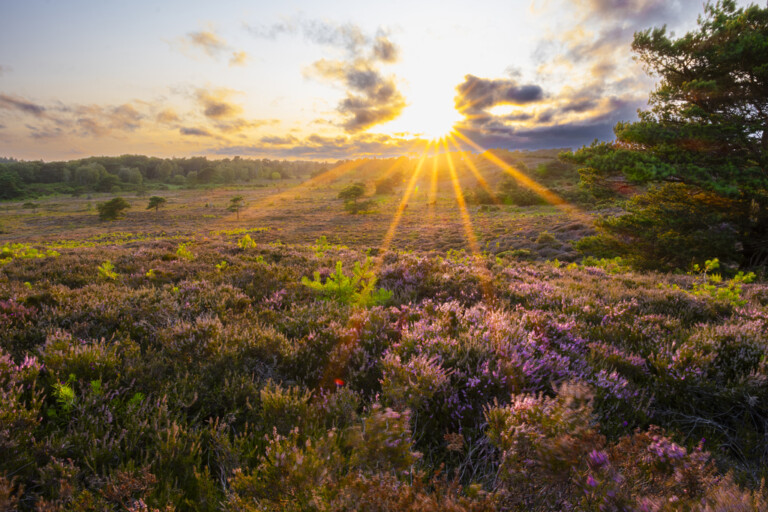 Sam Turley 2 768x512