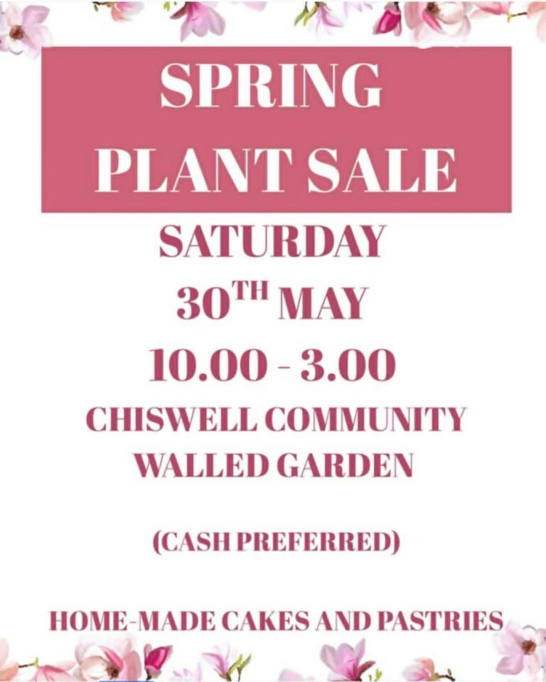 Chiswell Plant Sale IMG 8426 768x959