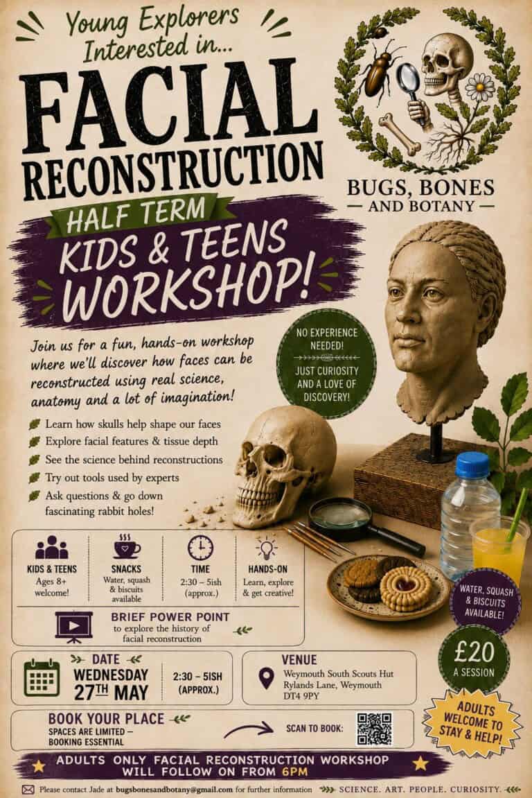 facial reconstruction 27 may 1 768x1151