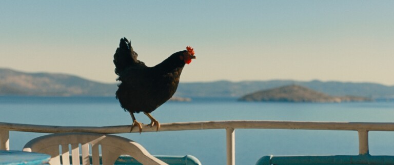 Hen 768x322