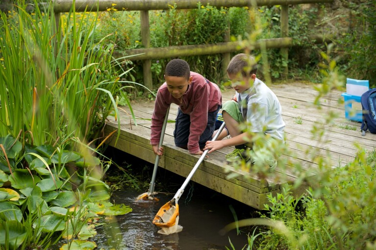 Children pond dipping at Lorton Meadows © Katharine Davies 768x511