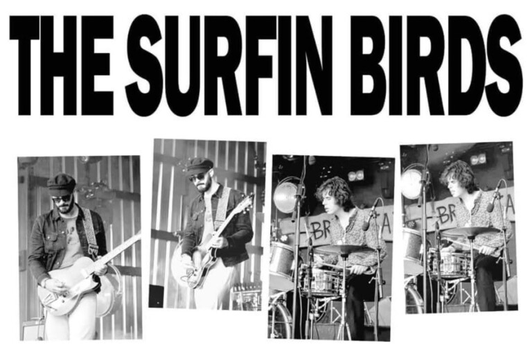 Surfin Birds 768x521