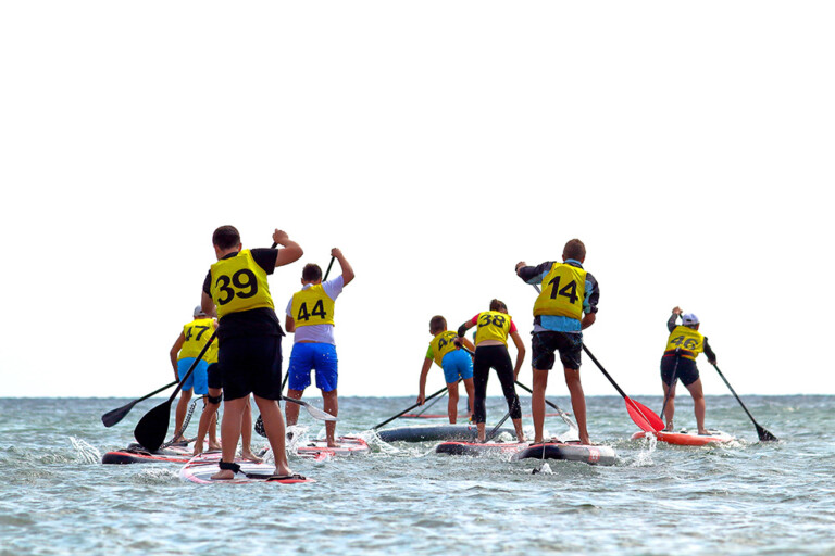 reduced group of people compete in rowing on stand up padd 2026 01 11 08 03 34 utc 768x512