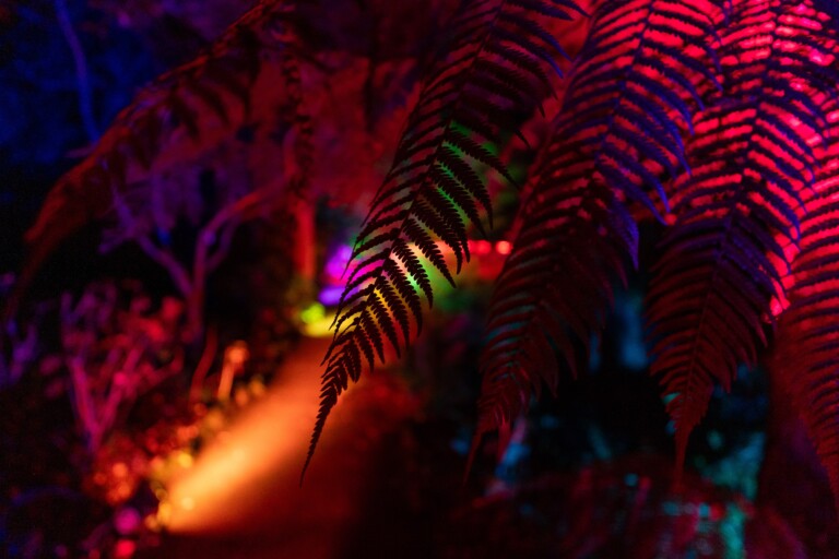 DSC05285 768x512