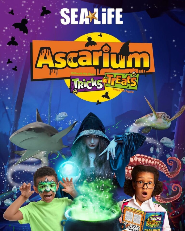 ascarium 768x960