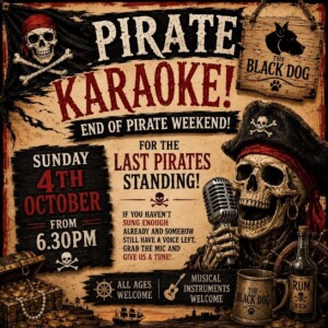【KARAOKE PIRATES FEAT LRME】■S.T.■☆ほぼ新品☆ Pirate Karaoke at The Black Dog - Love Weymouth Tourist